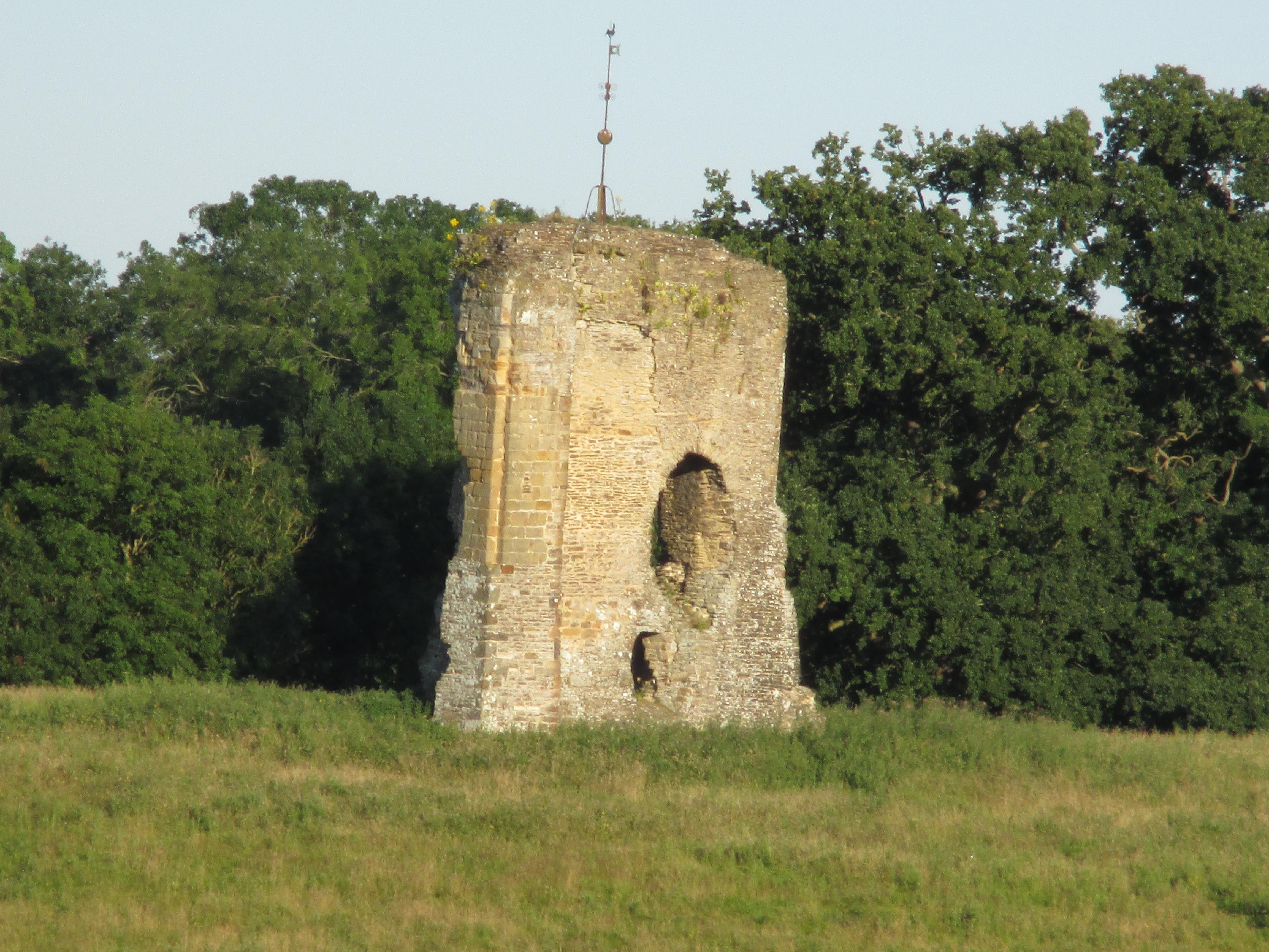 Knepp Castle